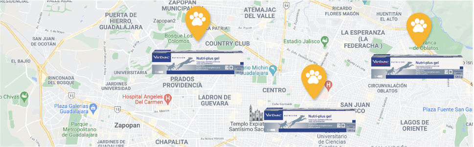 Encuentra el producto en la clínica veterinaria más cercana